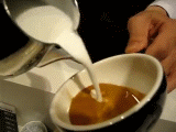 [Image: 50a08.gif]