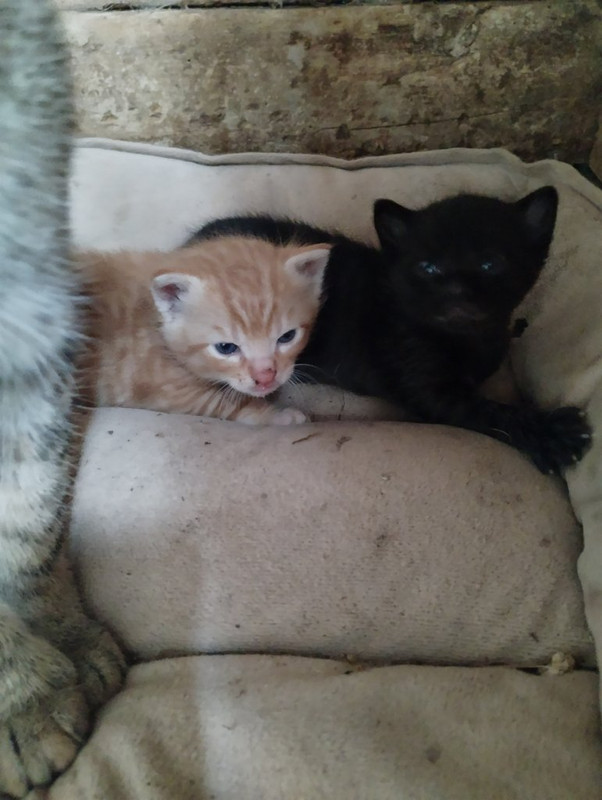 IMG_20250911_125324895