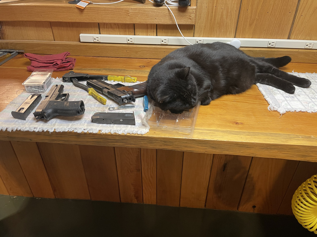 6CD0AEBA-5867-44F3-A3E4-A915C153473C