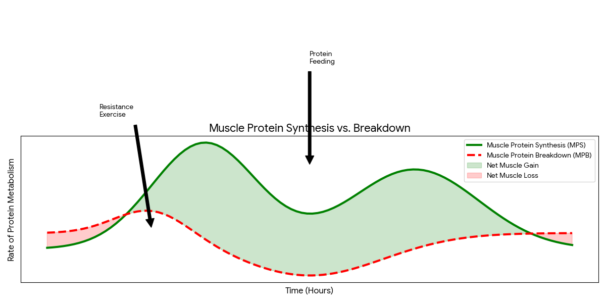 Progressive overload methods for at-home full body workout without equipment showing leverage changes and exercise progressions for continuous strength gains