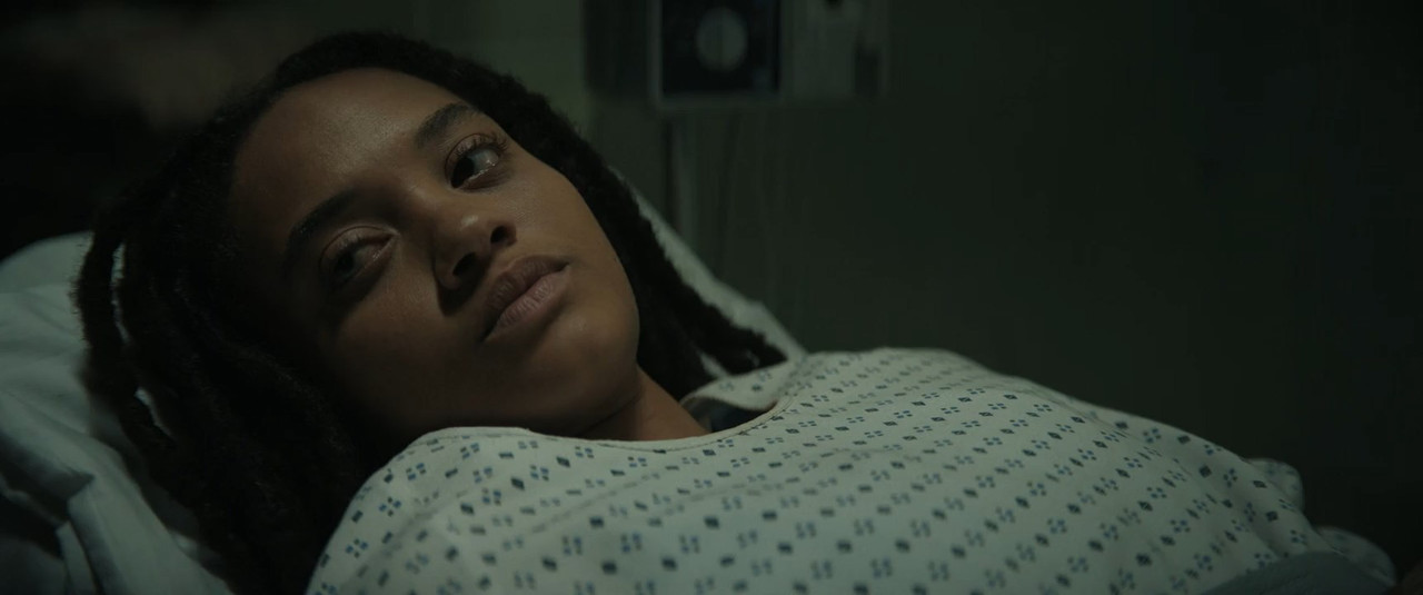 Monarch: Legacy of Monsters (2023) Season 1 [Hindi + English] WebRip 480p 720p ESub - Complete Screenshot