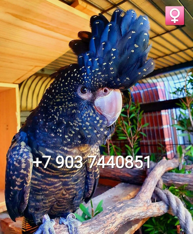 Screenshot_20240312_010152_Instagram — копия