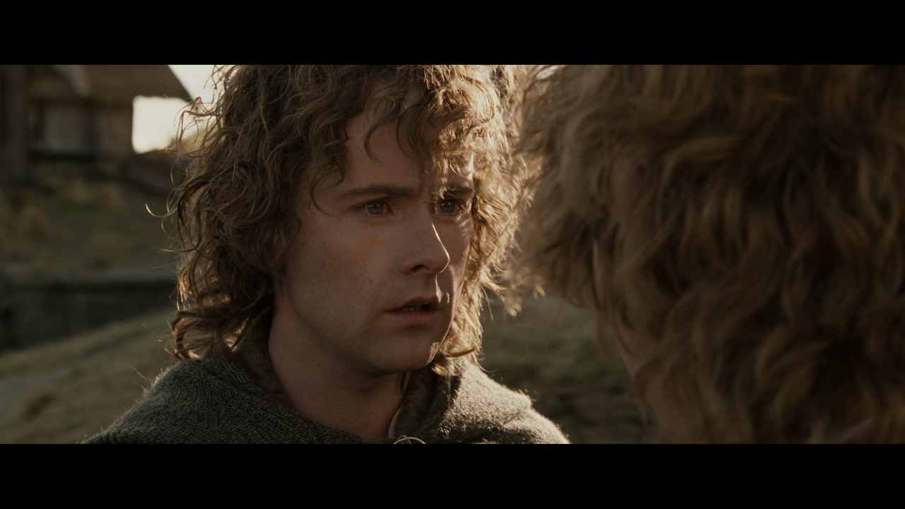 The Lord of the Rings- The Return of the King (EXT.) PT. 1.mkv_snapshot_00.35.12_[2020.12.15_18.38.4