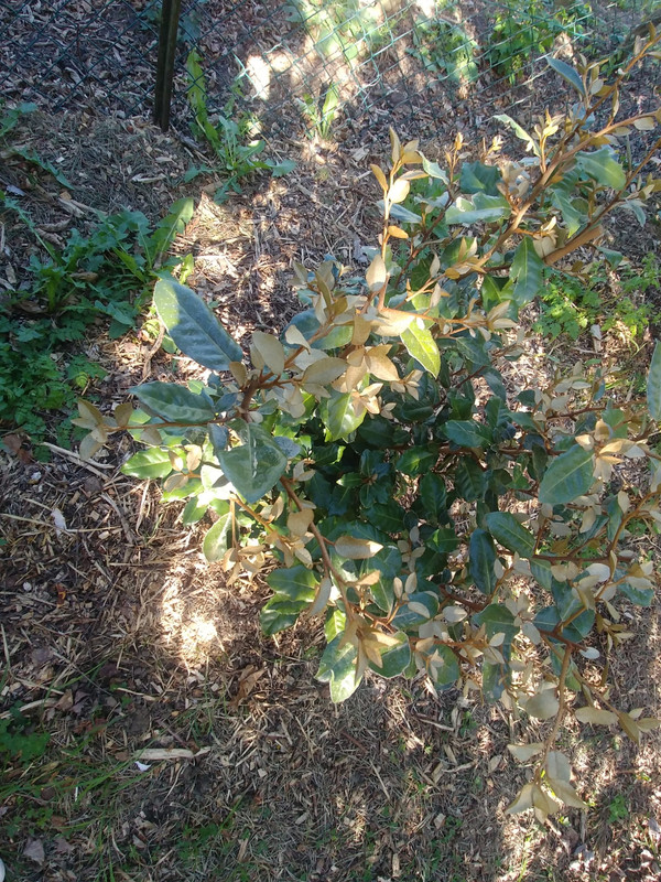 a080c26a ffbf 4a00 b41a 60c5c6f1cb46