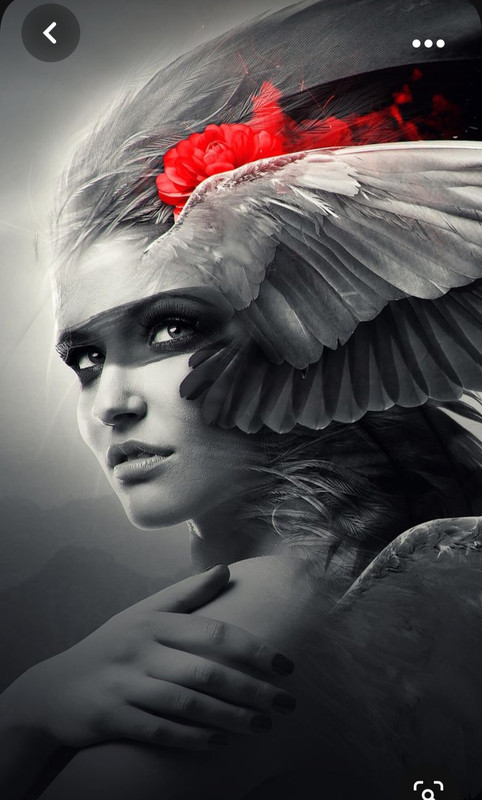 Screenshot_20231001_205932_Pinterest