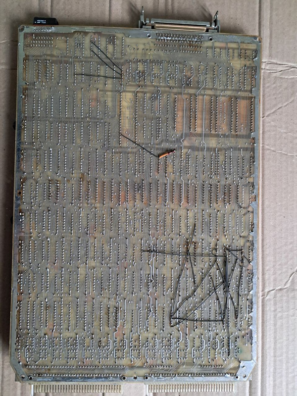 photo 2026 02 13 10 48 17