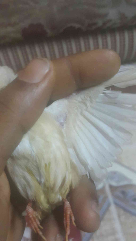 ٢?١٨?٩١٩_٢١١٨١٥