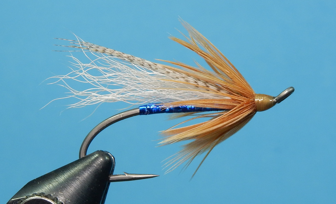 Blueberg-1080.jpg