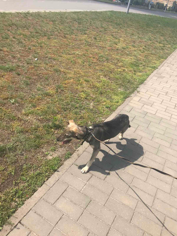 C77FFA05-3566-4DA1-BA97-053F8C2AB895