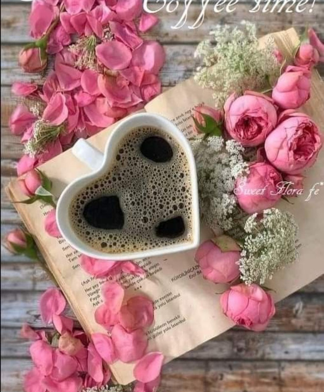 Screenshot_20221213-210300_Chrome