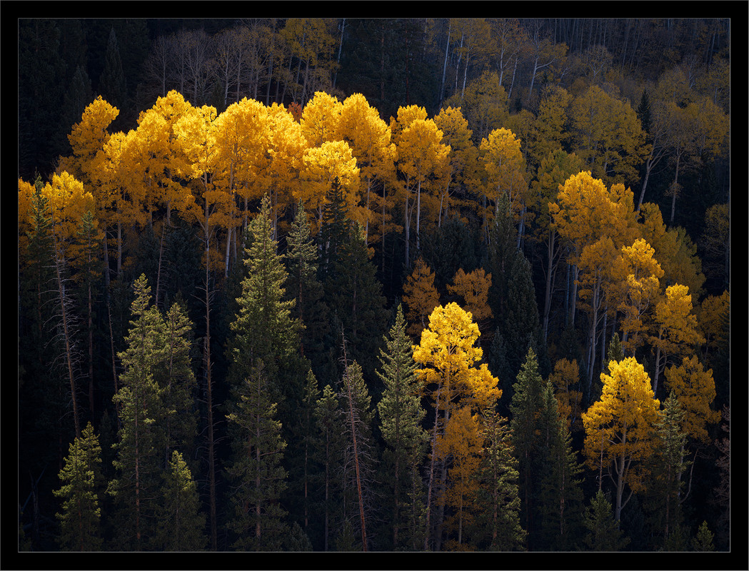 Ed2000-4x3TopazNik_DSF0550 copy