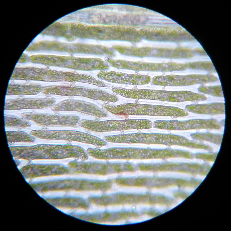 IMG 20250614 112007 HDR