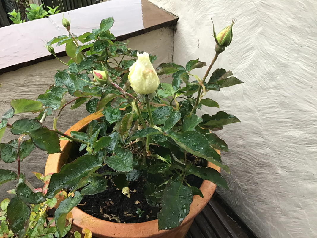 44178CCE-080E-4A89-8E2E-64535A132F44