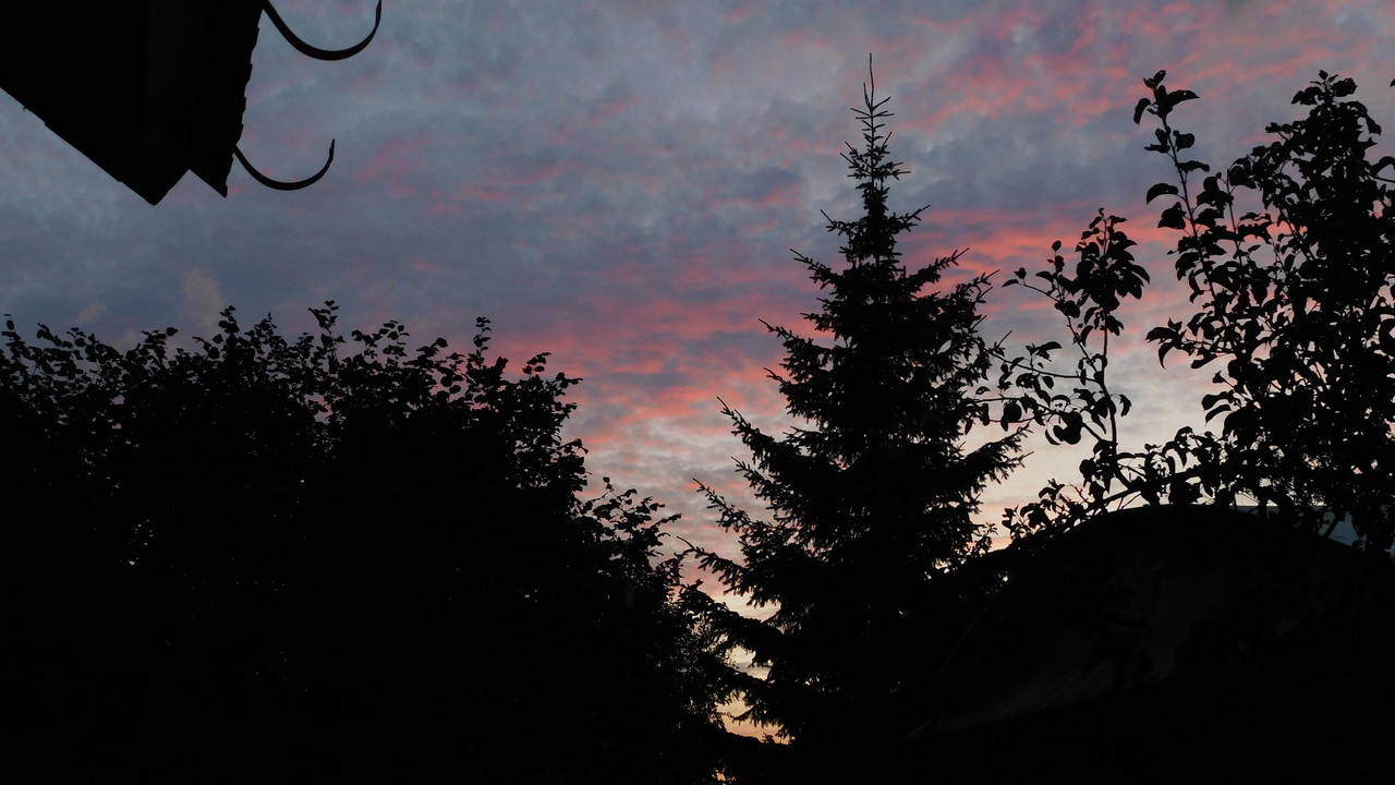 Август дачный кукольный 2023 028