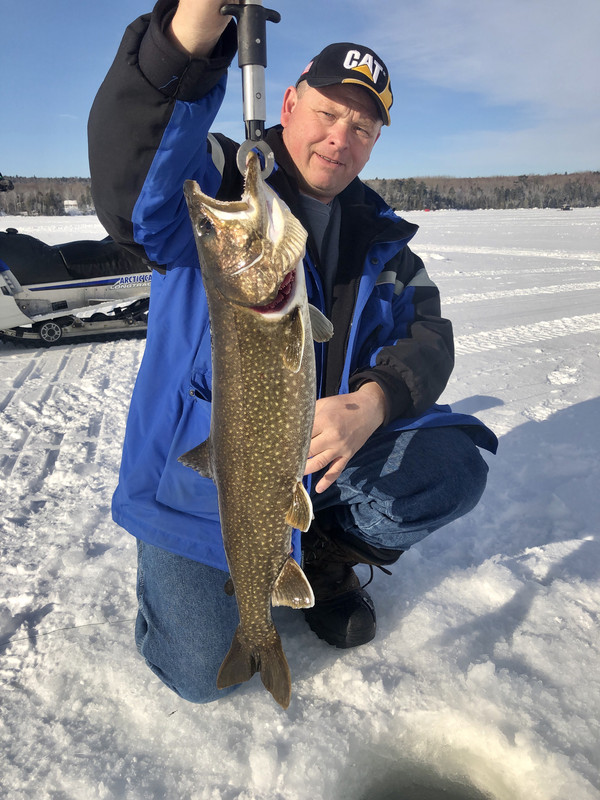 BC0FEE07-F326-4E3F-BCC1-7A3AFF3AF703