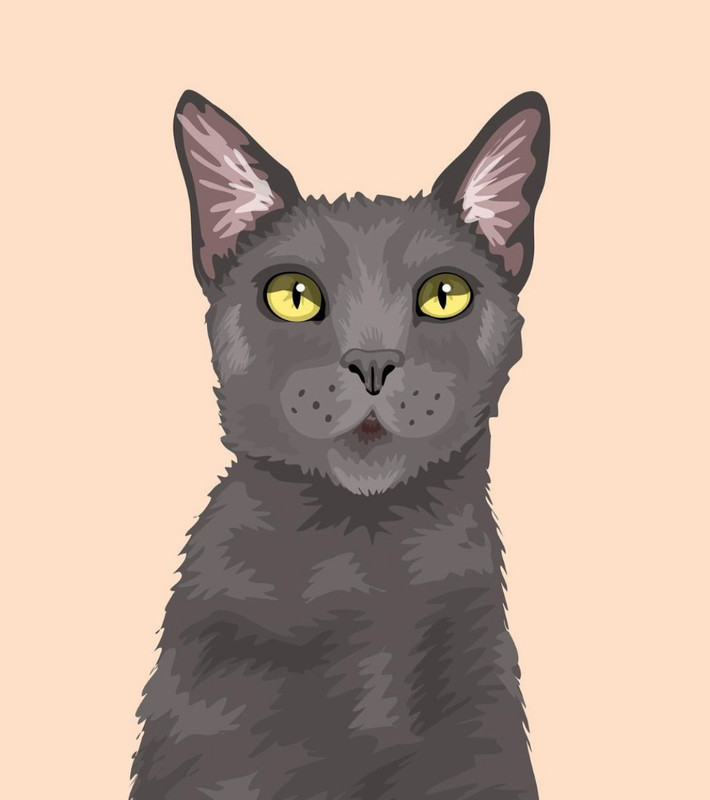 greycat1 — Postimages
