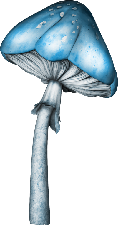 MagicSnowkitpudnmushroom