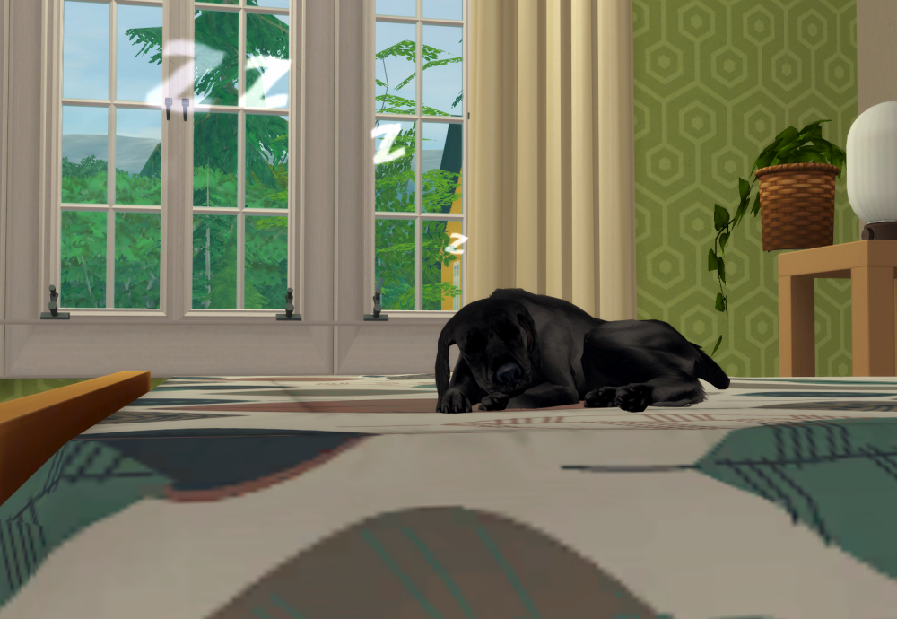 Sims2-EP9-RPC-2021-09-19-17-15-10-67