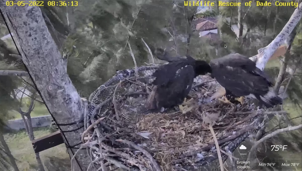 B8AEBA64-9D51-4B92-88BD-C3202A57D3C4