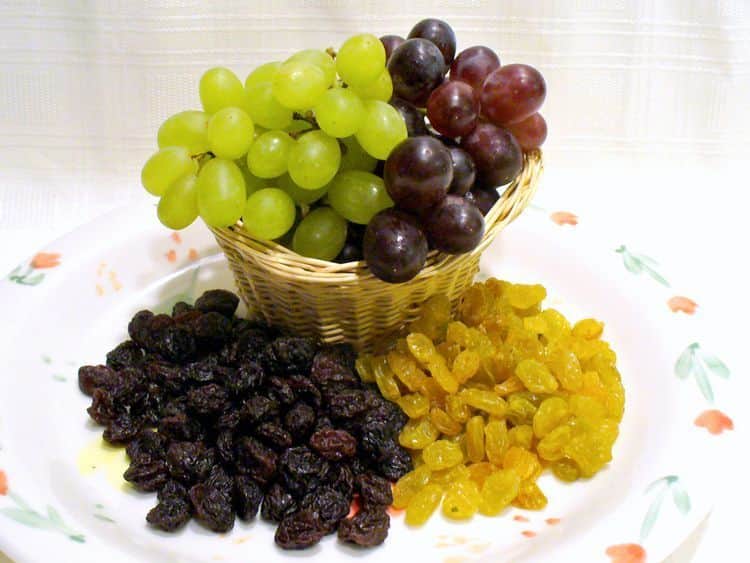 Plate with fresh green and black grapes alongside green and black raisins, showcasing polyphenol-rich foods that help nourish beneficial gut bacteria and support overall gut health.