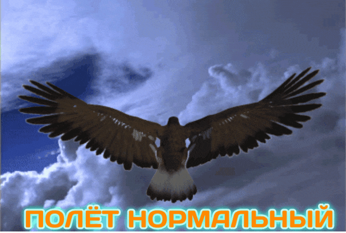 GIF-20250829-080111-677.gif