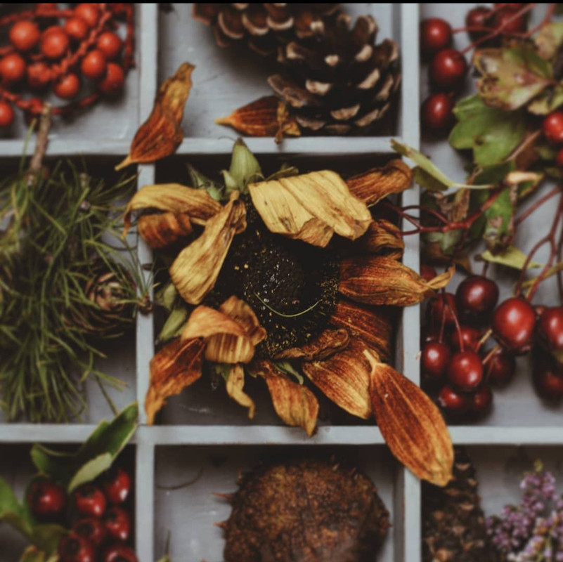 Screenshot_20231127_172933_Instagram