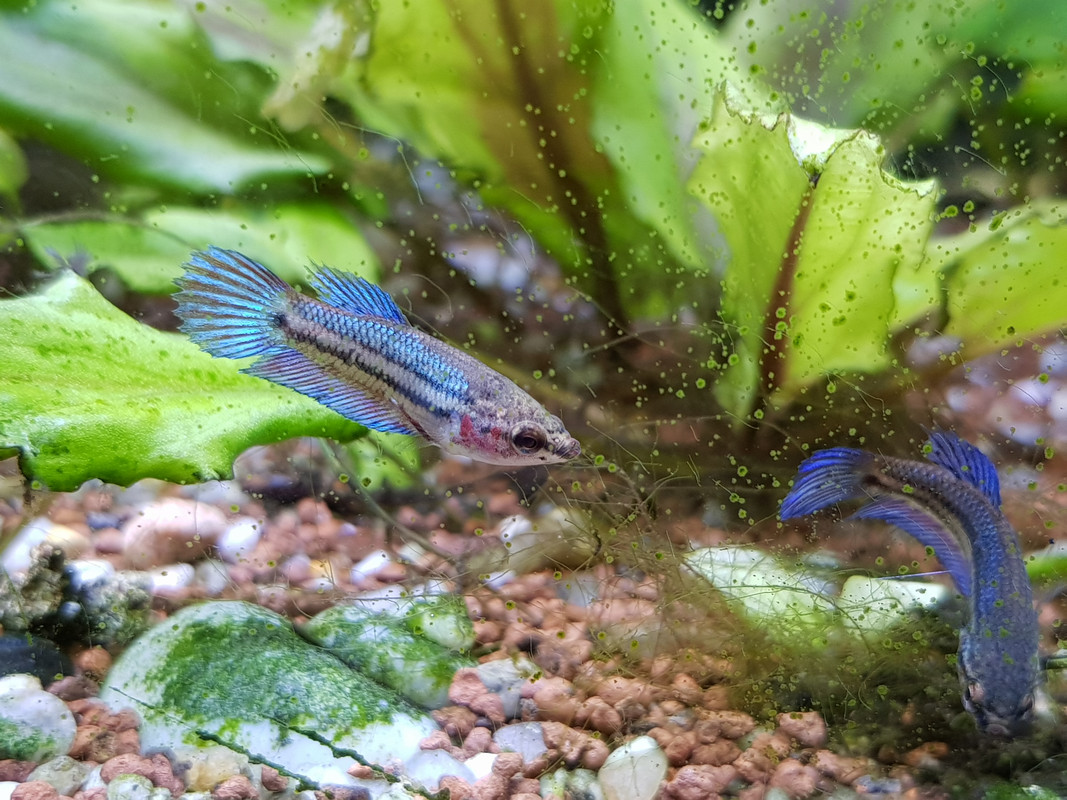 A085F2A1-A08F-4105-A36A-7E4B4457093F