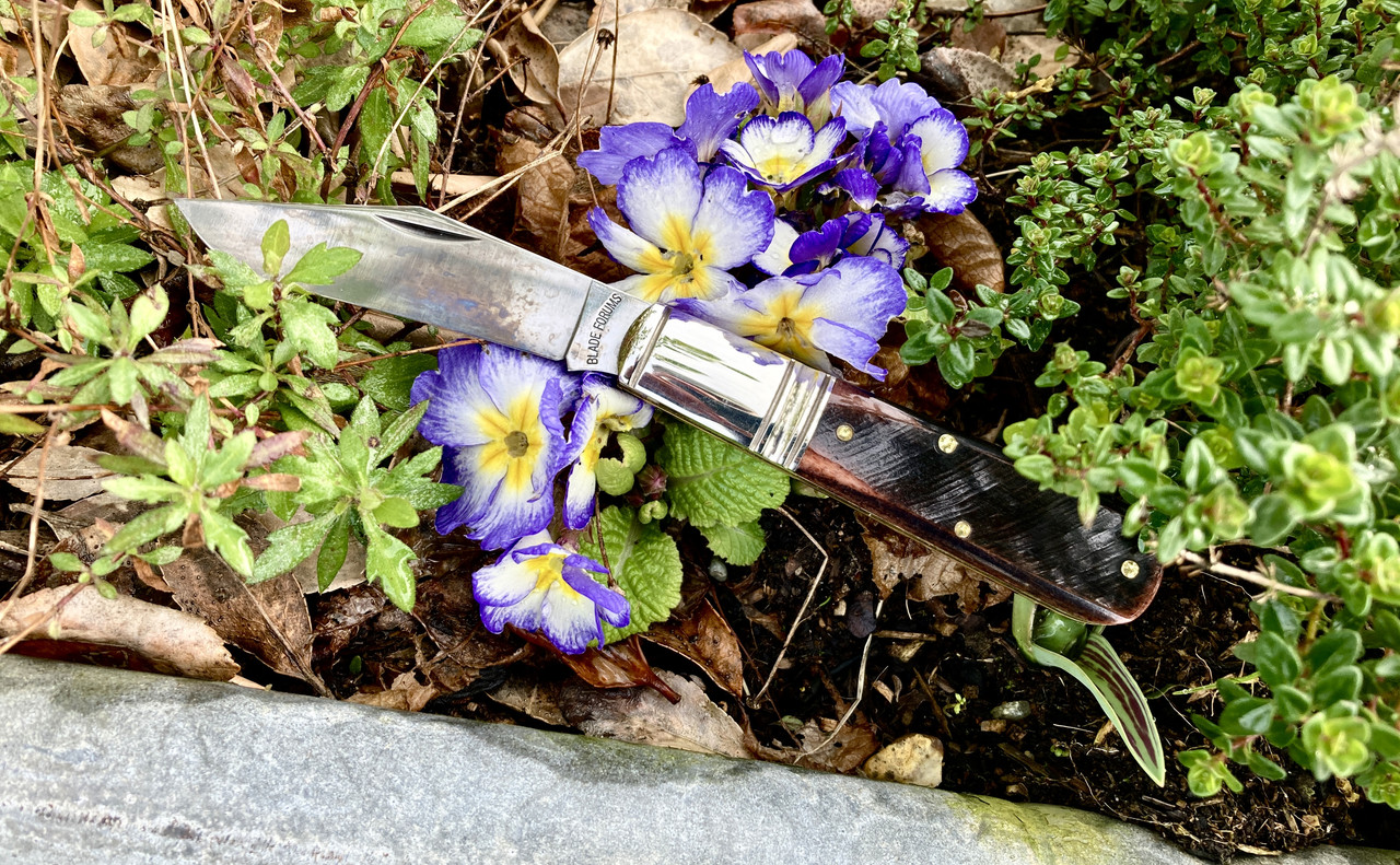 BFC5D488-D688-44CD-92C2-2F3827A804B8