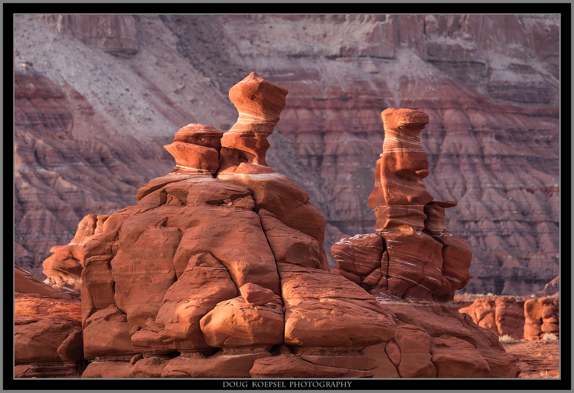 Ed1600WardTerra 4-9-18_0036