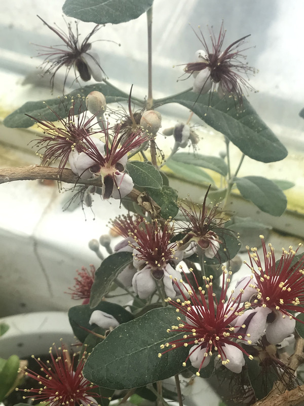 33F24063-4BC8-4B95-9670-EB7F9E384A7C