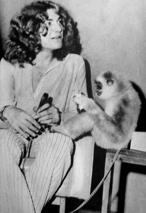 9695bd4b65627c11d0bdfc0bb43033f7