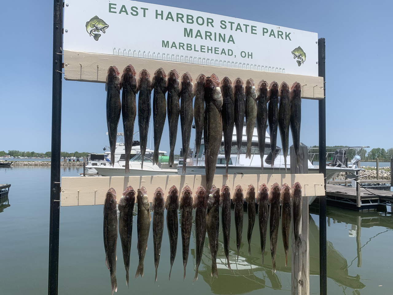 Lake Erie Fishing