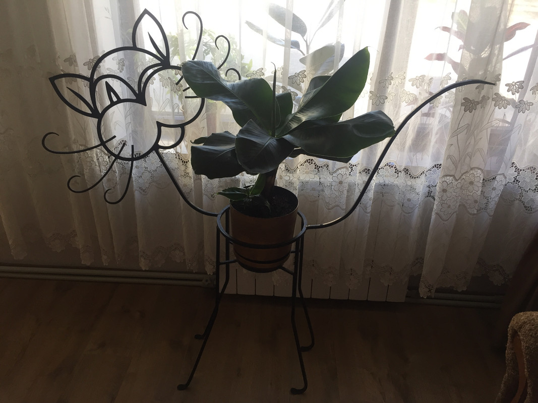 DFD21092-8130-40CE-A407-5DB6BFD7DAE8