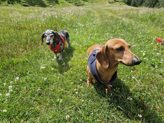 [Image: 20230704-115727.jpg]