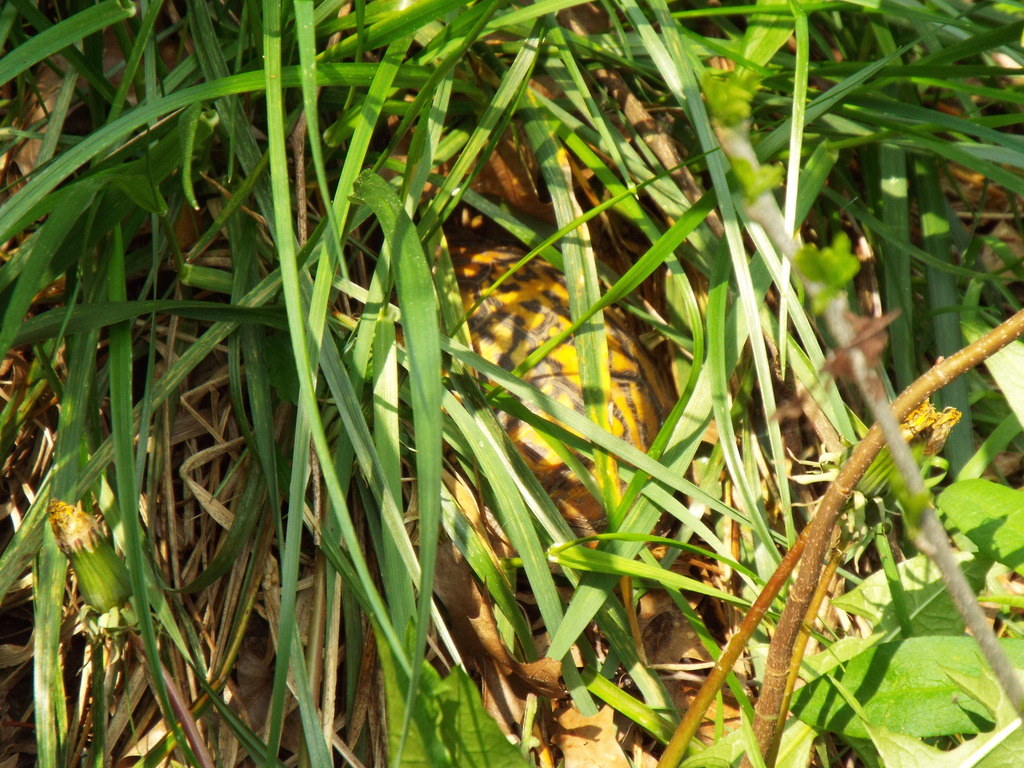 DSCF3053.jpg