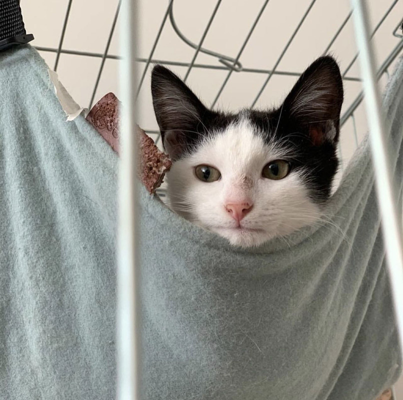 D1C3C0A5-B25E-4AF4-BB87-72E62FCF4EC9