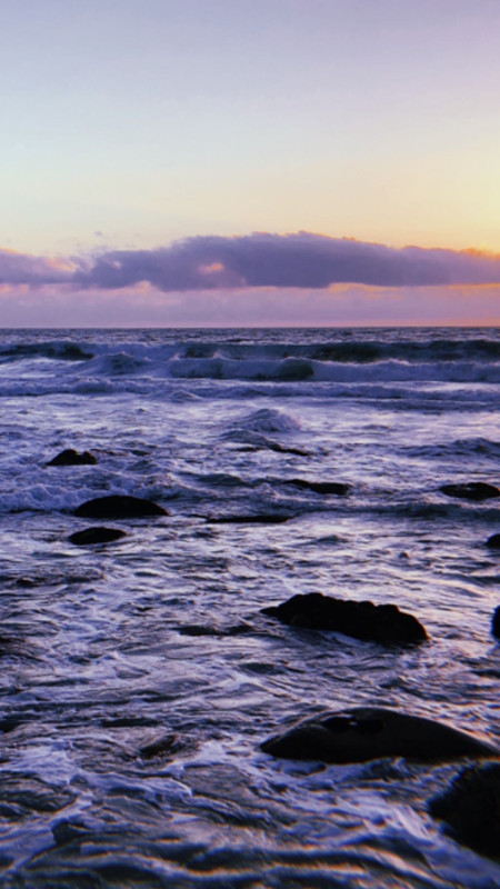 angelcandices~1555957302~2027839309922892197_43114731