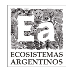 Logo 8