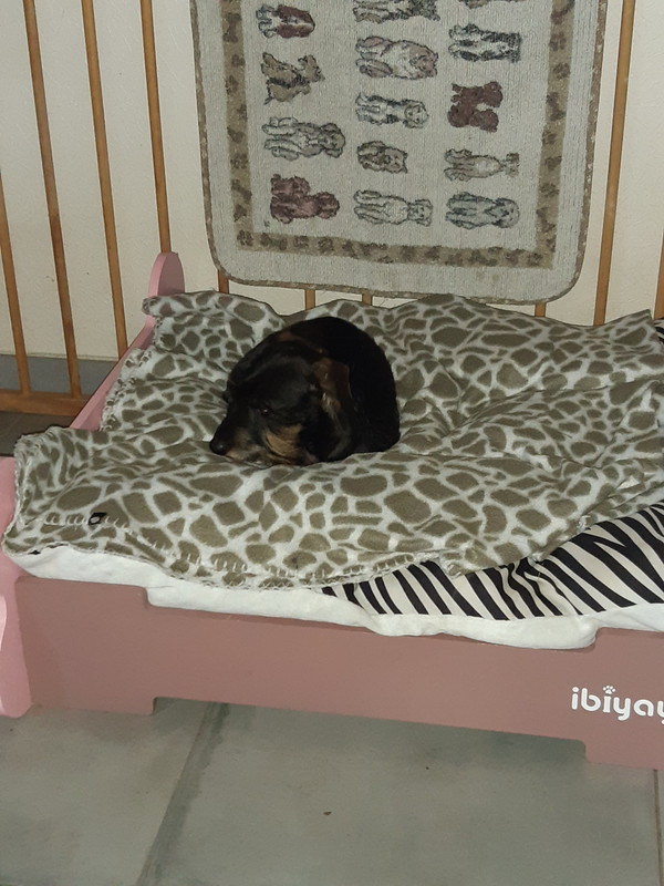 [Image: 20221206-094321.jpg]