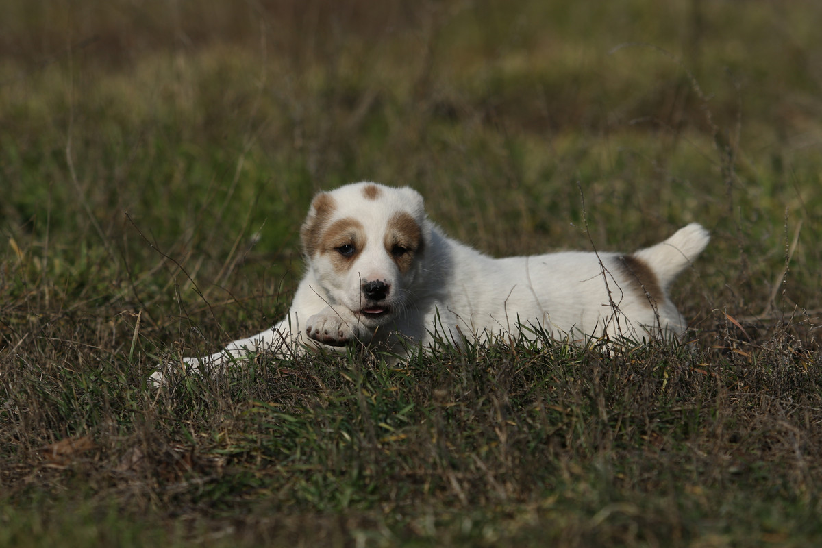 8B16C05D-C38E-41C4-BDD5-9EF0FF684CA5