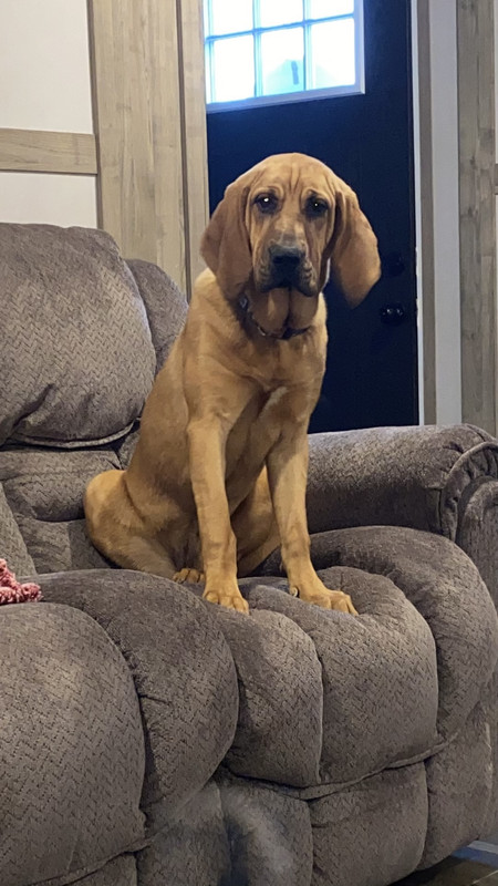 8A04F4FF-E9B5-453D-9CFB-0DC9189A33EC