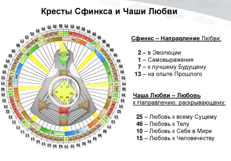 Правоугольный сфинкс. Бодиграф киану ривз. Инкарнационный крест в дизайне человека. Дизайн человека. Правоугольный инкарнационный крест.