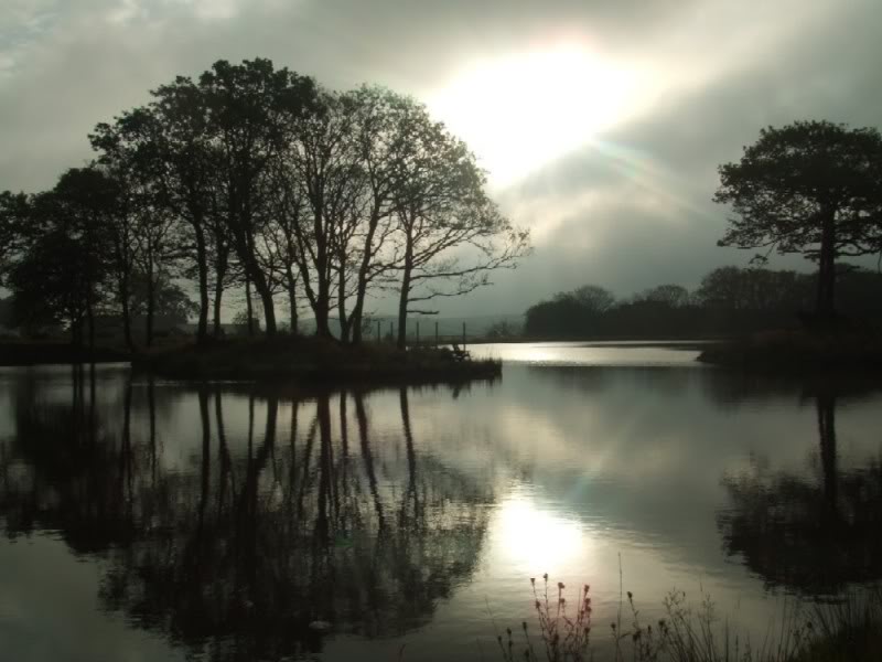 Lake-Early-Morning800x600.jpg