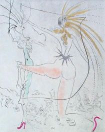 http://www.galerie-furstenberg.fr/images%20gravures%20dali/VENUS%20IN%20FURS%20368_1.jpg