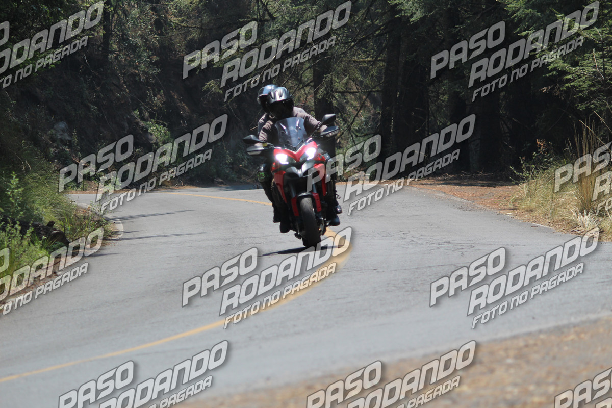IMG 0014 wm 92594 80000000028 watermarked — Postimages