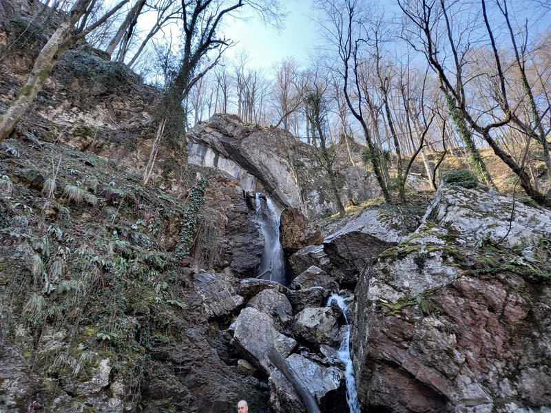 Slika