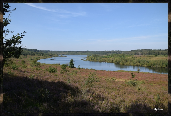 m-Melchelse-heide-in-Maas-Mechelen