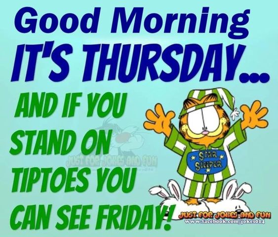 Good Morning, Good Afternoon, Good Evening, Good Night, Good Day! (#2)