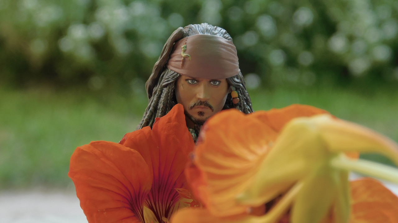 Август дачный кукольный 2023 449