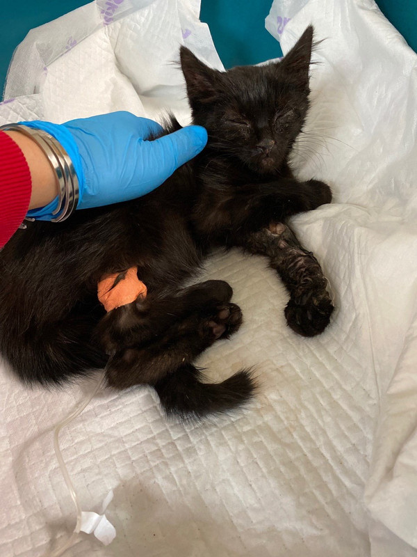 ADDB23C6-E3DA-476A-AFA1-92ED5E19850B